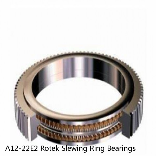 A12-22E2 Rotek Slewing Ring Bearings