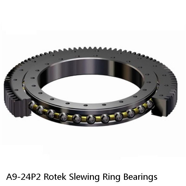 A9-24P2 Rotek Slewing Ring Bearings