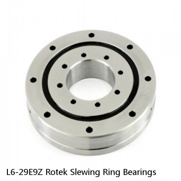 L6-29E9Z Rotek Slewing Ring Bearings