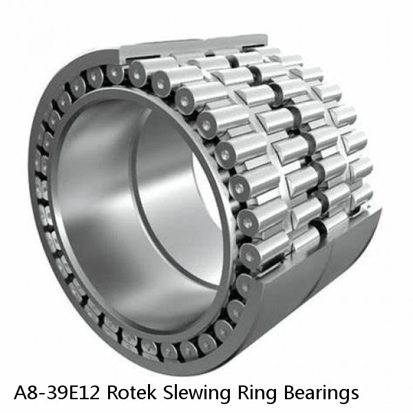 A8-39E12 Rotek Slewing Ring Bearings