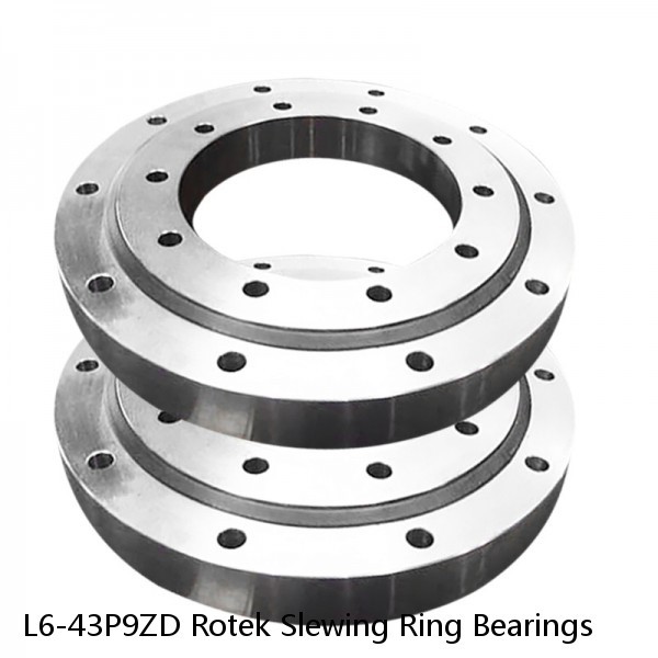 L6-43P9ZD Rotek Slewing Ring Bearings