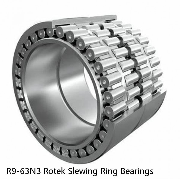 R9-63N3 Rotek Slewing Ring Bearings