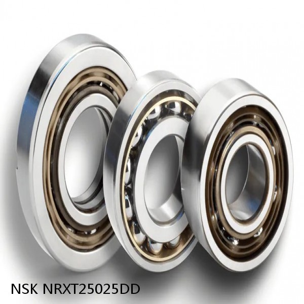 NRXT25025DD NSK Crossed Roller Bearing