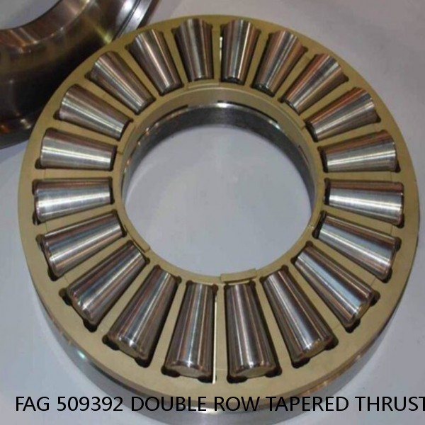 FAG 509392 DOUBLE ROW TAPERED THRUST ROLLER BEARINGS