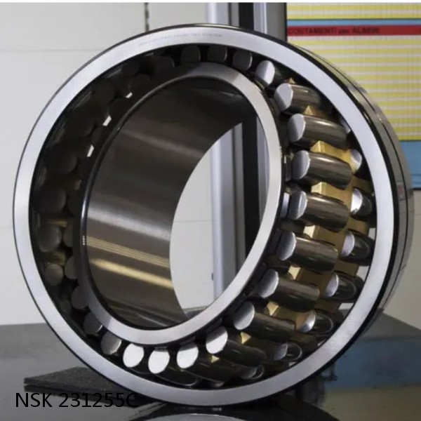 231255C NSK Railway Rolling Spherical Roller Bearings