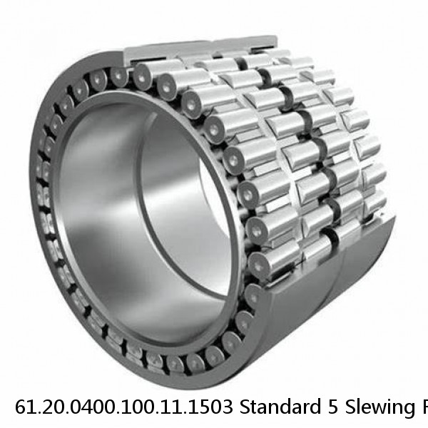 61.20.0400.100.11.1503 Standard 5 Slewing Ring Bearings