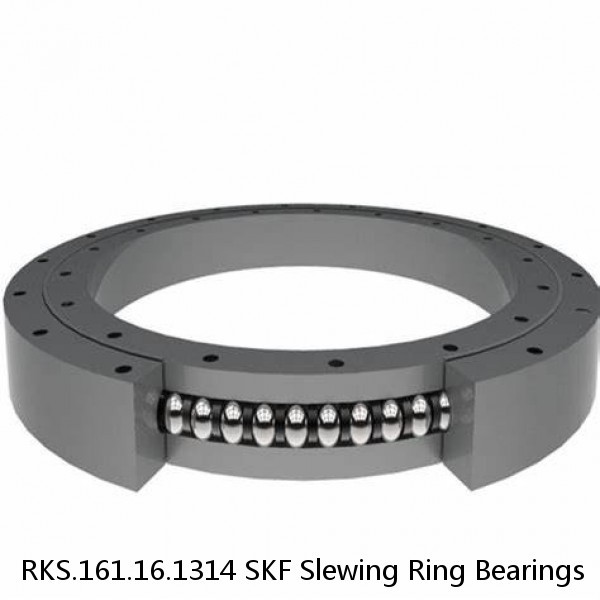 RKS.161.16.1314 SKF Slewing Ring Bearings #1 small image