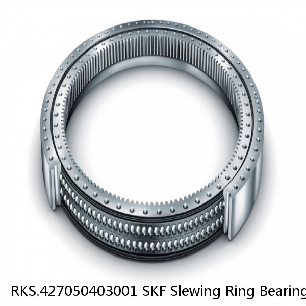 RKS.427050403001 SKF Slewing Ring Bearings #1 small image