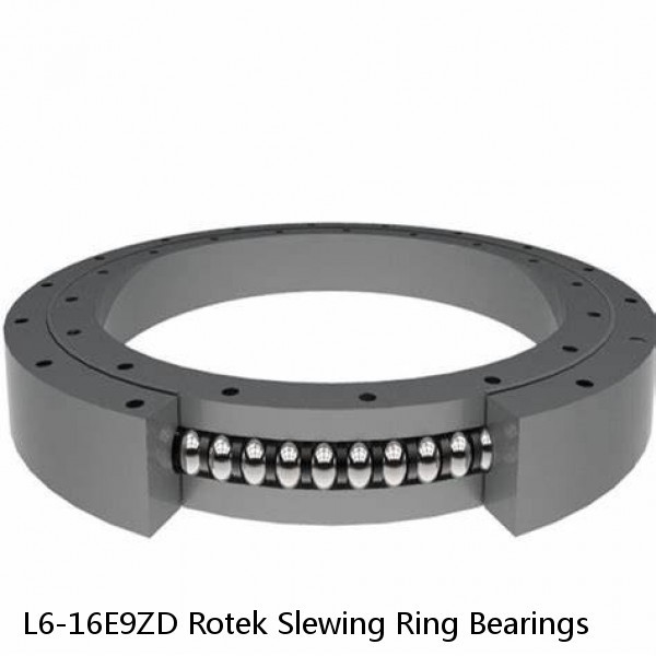 L6-16E9ZD Rotek Slewing Ring Bearings #1 small image