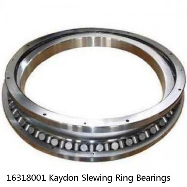 16318001 Kaydon Slewing Ring Bearings #1 small image