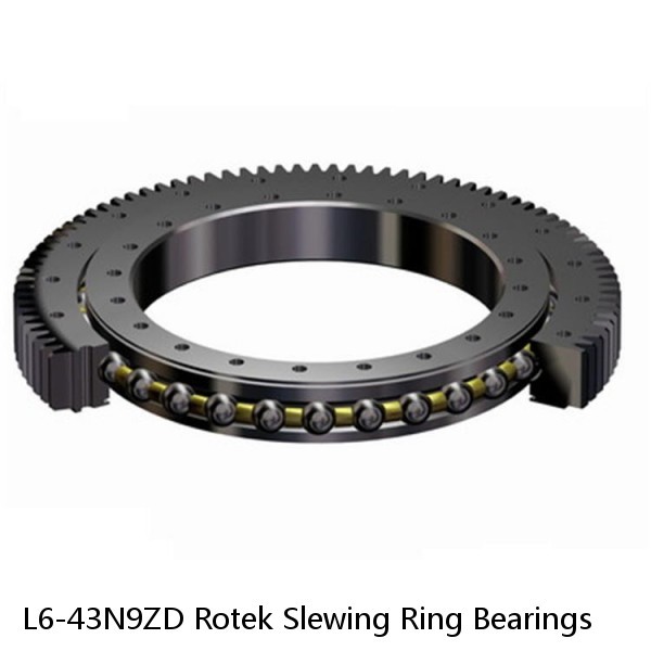 L6-43N9ZD Rotek Slewing Ring Bearings #1 small image