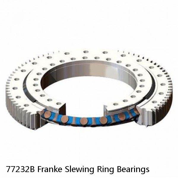 77232B Franke Slewing Ring Bearings #1 small image