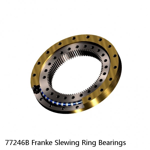 77246B Franke Slewing Ring Bearings #1 small image