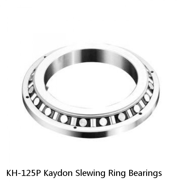 KH-125P Kaydon Slewing Ring Bearings #1 small image