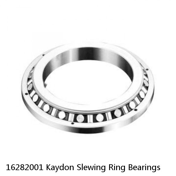 16282001 Kaydon Slewing Ring Bearings #1 small image