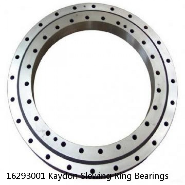 16293001 Kaydon Slewing Ring Bearings #1 small image