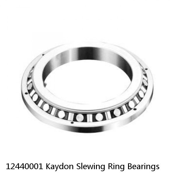 12440001 Kaydon Slewing Ring Bearings #1 small image