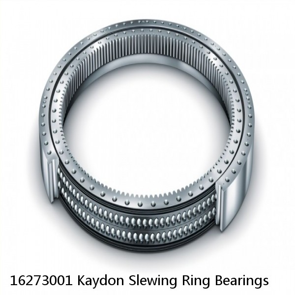 16273001 Kaydon Slewing Ring Bearings #1 small image