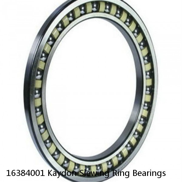 16384001 Kaydon Slewing Ring Bearings #1 small image