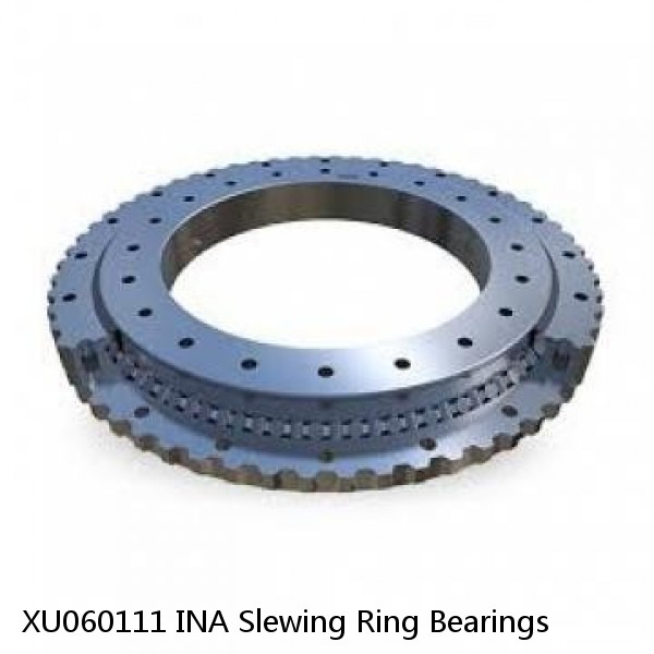 XU060111 INA Slewing Ring Bearings