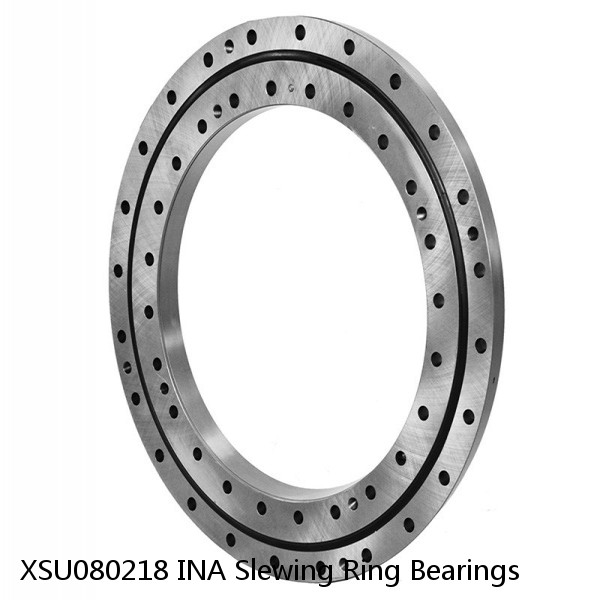 XSU080218 INA Slewing Ring Bearings #1 small image