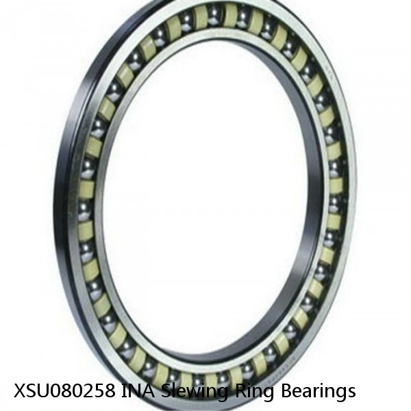 XSU080258 INA Slewing Ring Bearings #1 small image