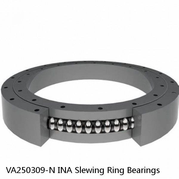 VA250309-N INA Slewing Ring Bearings #1 small image