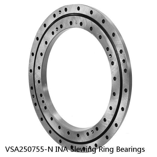 VSA250755-N INA Slewing Ring Bearings #1 small image