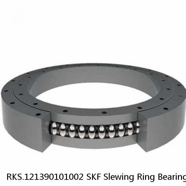 RKS.121390101002 SKF Slewing Ring Bearings #1 small image