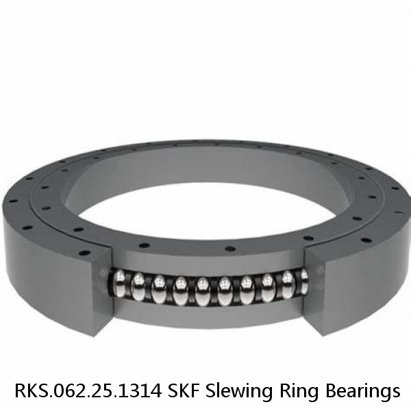 RKS.062.25.1314 SKF Slewing Ring Bearings #1 small image