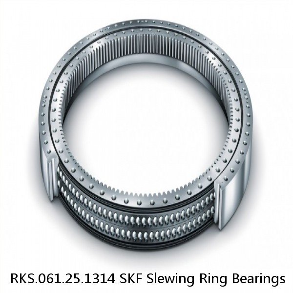 RKS.061.25.1314 SKF Slewing Ring Bearings #1 small image