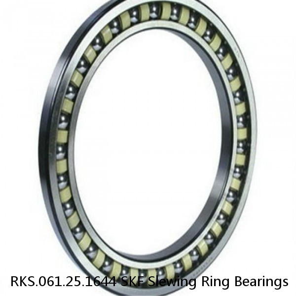 RKS.061.25.1644 SKF Slewing Ring Bearings #1 small image