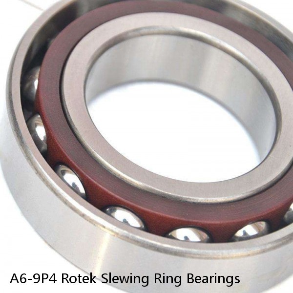 A6-9P4 Rotek Slewing Ring Bearings #1 small image