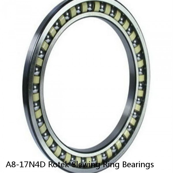 A8-17N4D Rotek Slewing Ring Bearings #1 small image