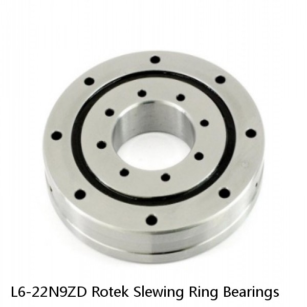 L6-22N9ZD Rotek Slewing Ring Bearings #1 small image