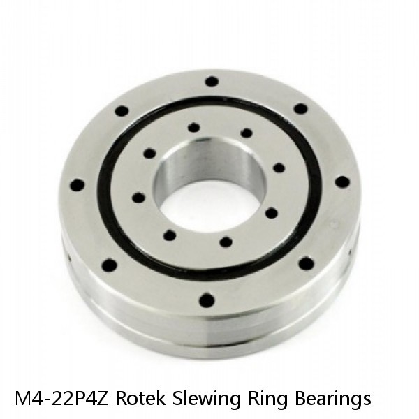 M4-22P4Z Rotek Slewing Ring Bearings #1 small image