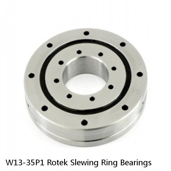 W13-35P1 Rotek Slewing Ring Bearings #1 small image