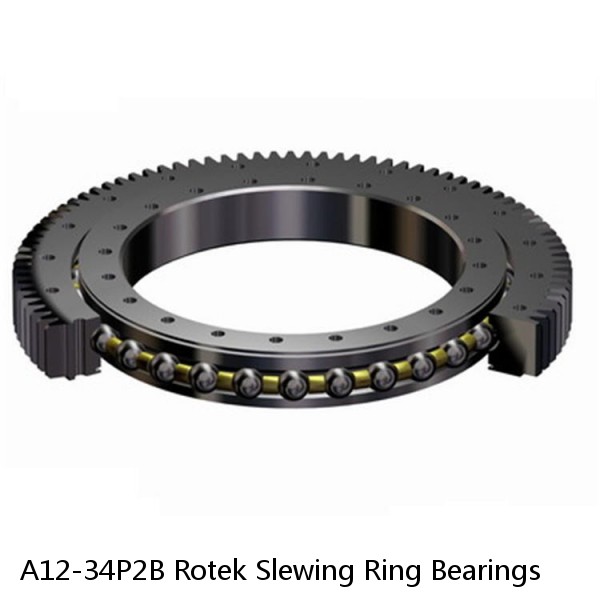 A12-34P2B Rotek Slewing Ring Bearings #1 small image