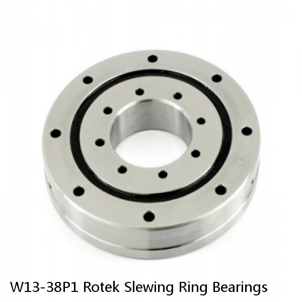 W13-38P1 Rotek Slewing Ring Bearings #1 small image