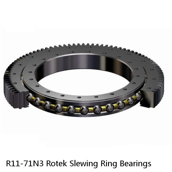 R11-71N3 Rotek Slewing Ring Bearings #1 small image