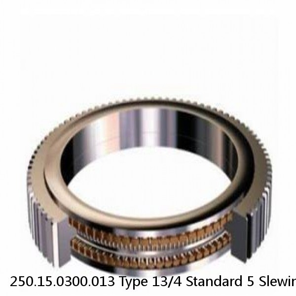 250.15.0300.013 Type 13/4 Standard 5 Slewing Ring Bearings #1 small image