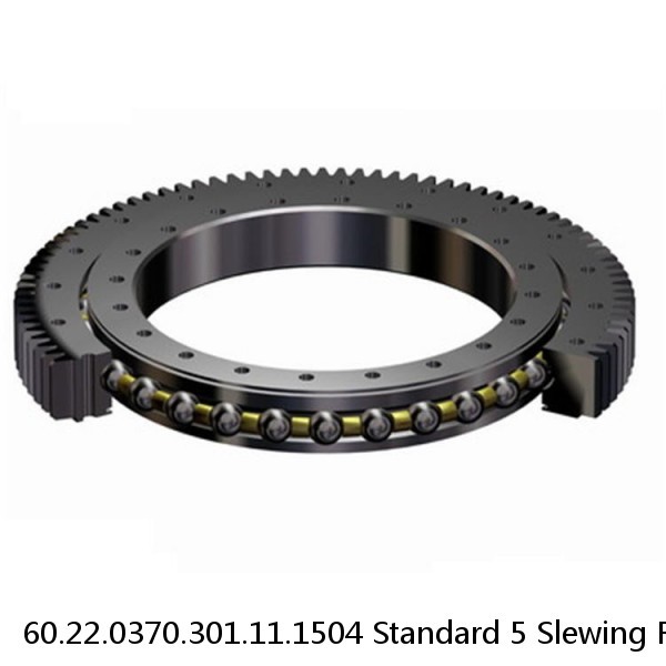 60.22.0370.301.11.1504 Standard 5 Slewing Ring Bearings #1 small image