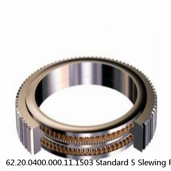 62.20.0400.000.11.1503 Standard 5 Slewing Ring Bearings #1 small image