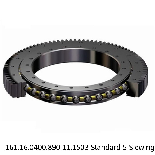 161.16.0400.890.11.1503 Standard 5 Slewing Ring Bearings #1 small image