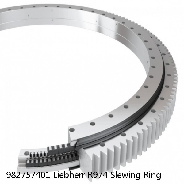 982757401 Liebherr R974 Slewing Ring #1 small image