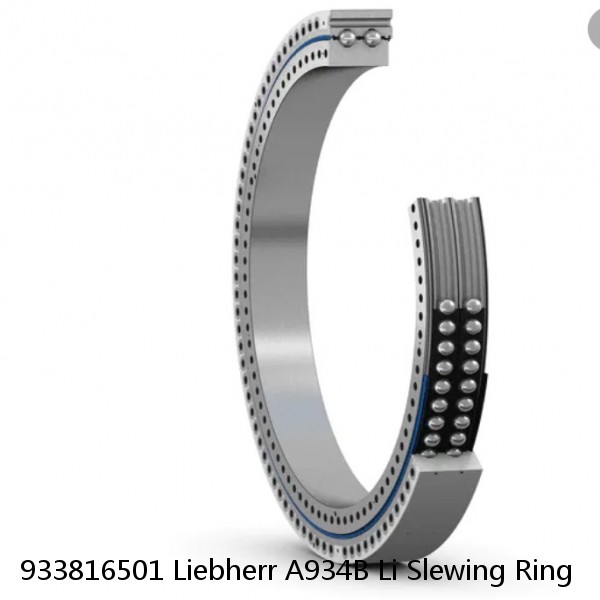 933816501 Liebherr A934B Li Slewing Ring #1 small image