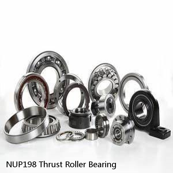 NUP198 Thrust Roller Bearing #1 small image