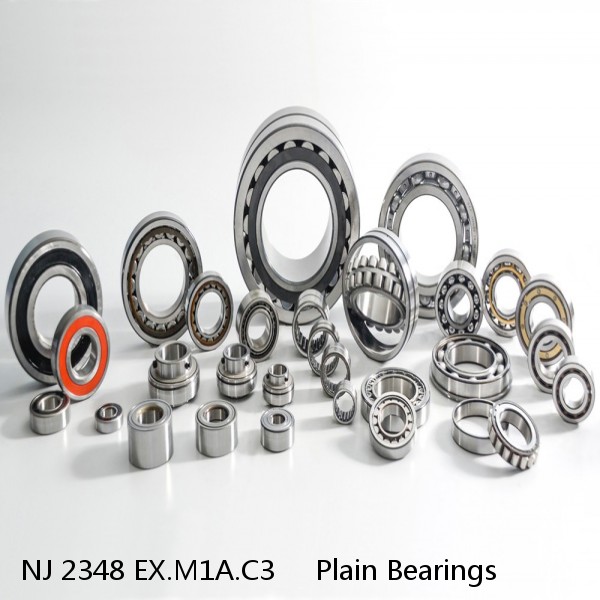 NJ 2348 EX.M1A.C3     Plain Bearings