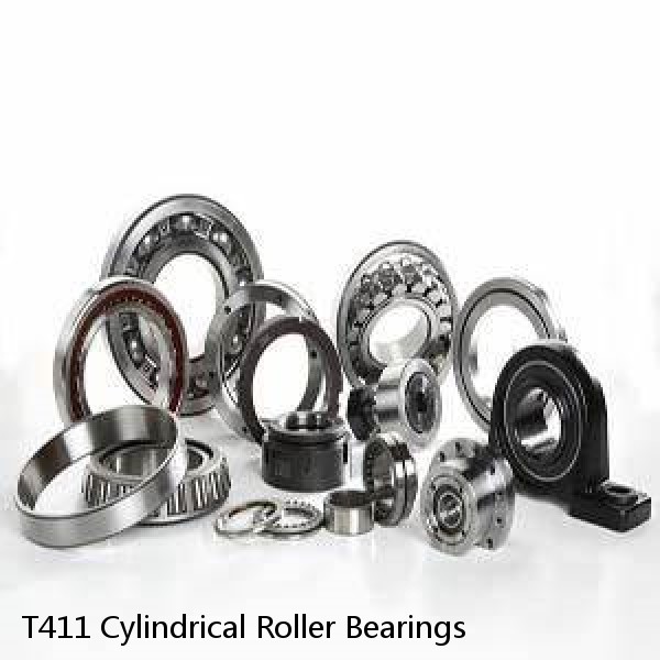 T411 Cylindrical Roller Bearings #1 small image