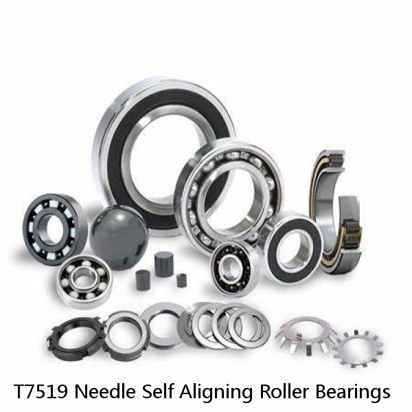 T7519 Needle Self Aligning Roller Bearings #1 small image